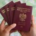 paszport zrodlo MSWIA