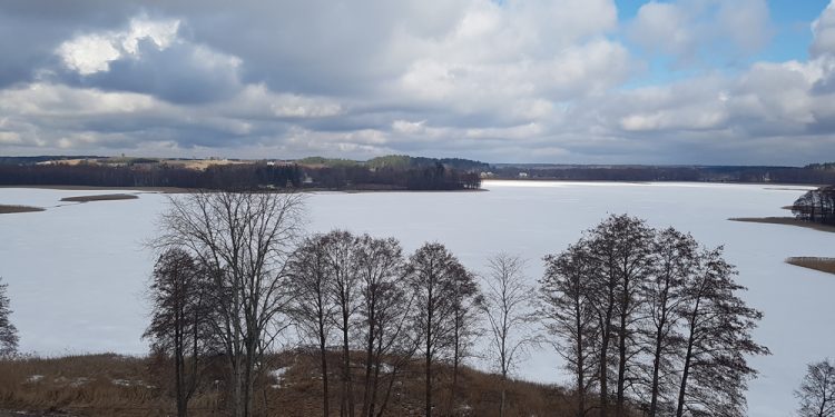 zdjęcie ilustracyjne