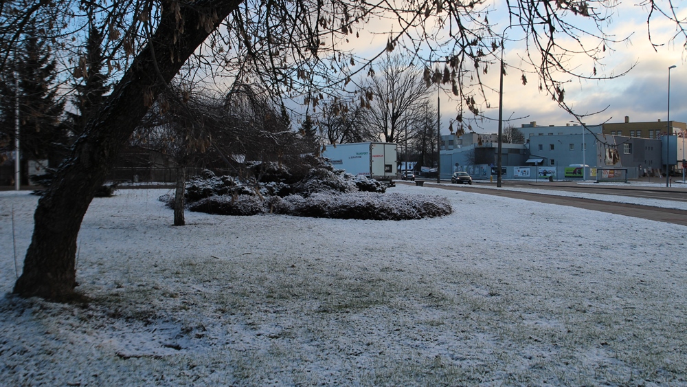 06 04 21 snieg zima 9