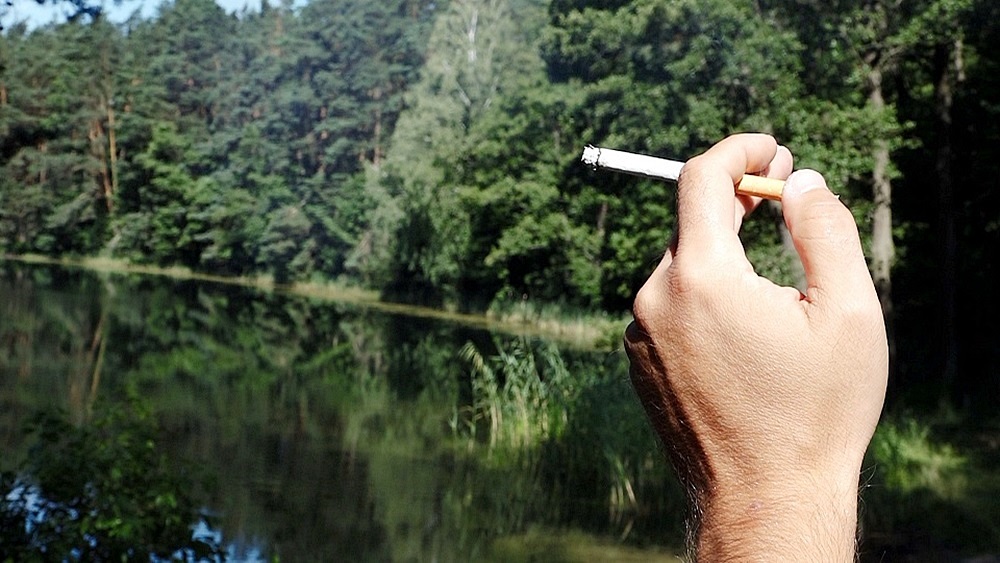 palacz w lesie pozar papieros
