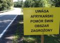 afrykanski pomor swin asf znak tablica 1 radio5