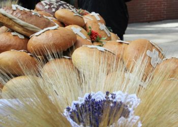 Przed nami dożynki gminno-diecezjalne w Okartowie 9 Fot. Archiwum