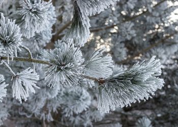 Synoptycy ostrzegają przed silnym mrozem 2 zdjęcie ilustracyjne