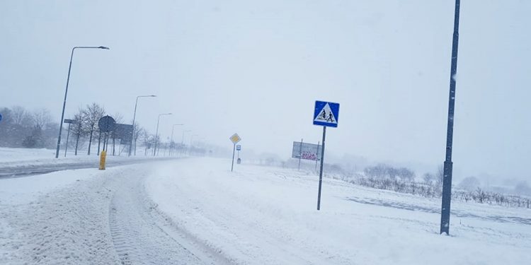 zdjęcie ilustracyjne