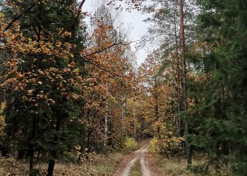 las jesienny jesien