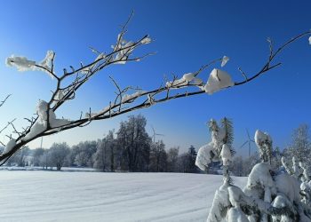 Fot. Archiwum Radia 5