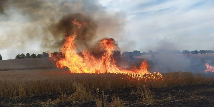 Minionej doby na Warmii i Mazurach doszło do 10 pożarów w związku z trwającymi żniwami, zdj. KP PSP Braniewo