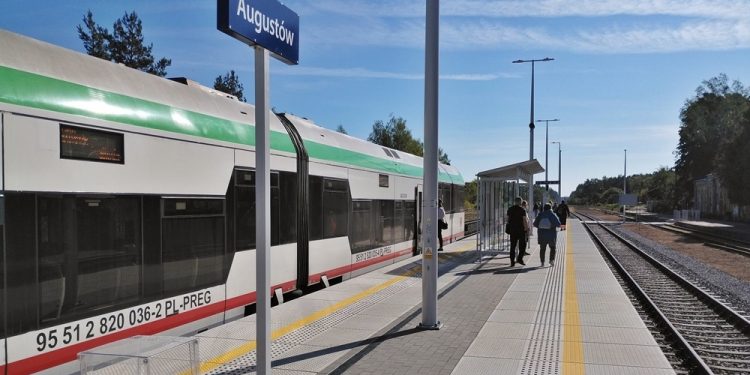 zdjęcie ilustracyjne