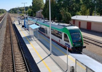 zdjęcie ilustracyjne