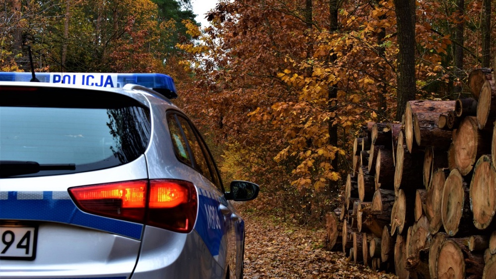 Pyrotechnic materials in the forest near the border with Belarus