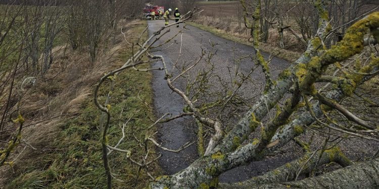 OSP Turówka Nowa