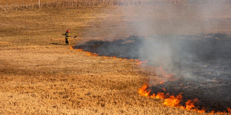 zdj. mł. asp. Łukasz Rutkowski Ratownictwo Powiatu Ełckiego