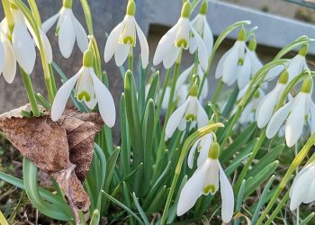 zdjęcie ilustracyjne