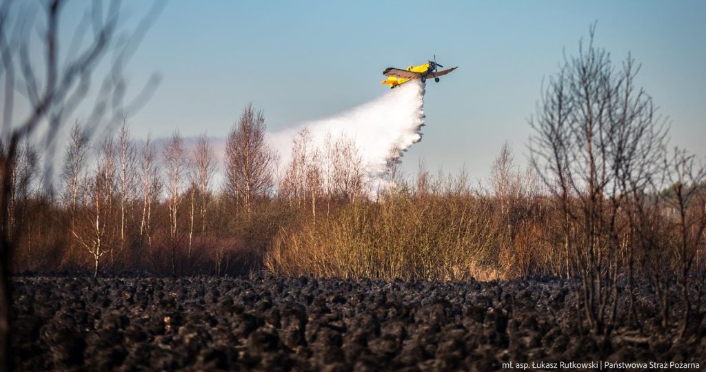 491761472 986945143623813 947738279053672442 n crop