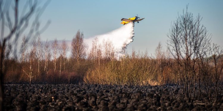 mł. asp. Łukasz Rutkowski/PSP