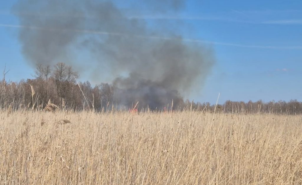 FB IMG 1744621616269 crop