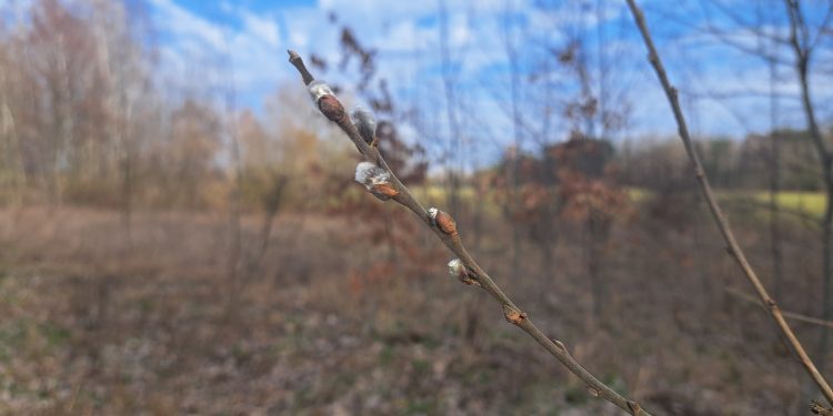 Zdjęcie ilustracyjne/Fot. Radio 5