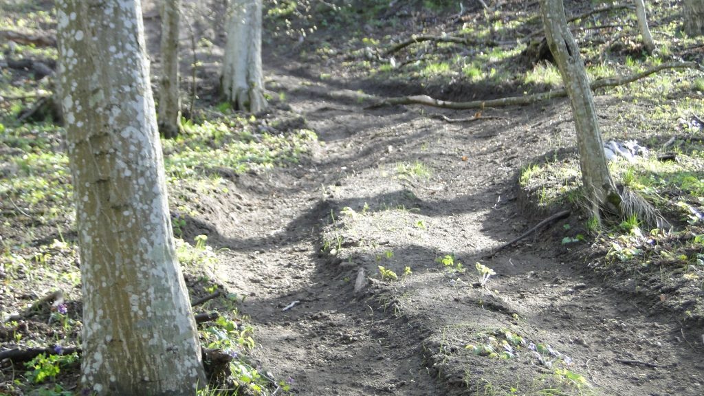 494287570 1142714667900210 7577634473250680543 n crop 1