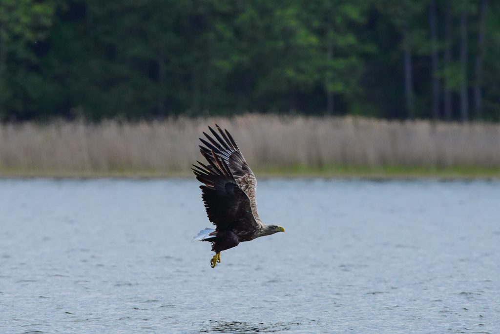 495597231 1123169996520293 1279860762169512734 n