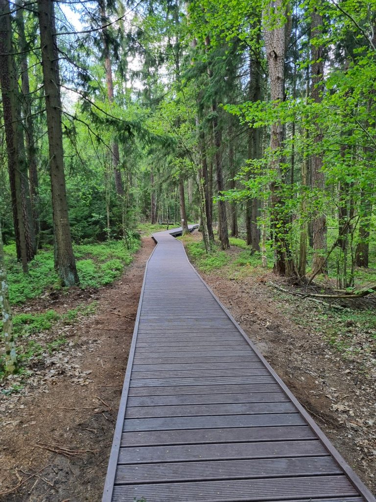 499728435 1134361928734433 6934796332916771862 n