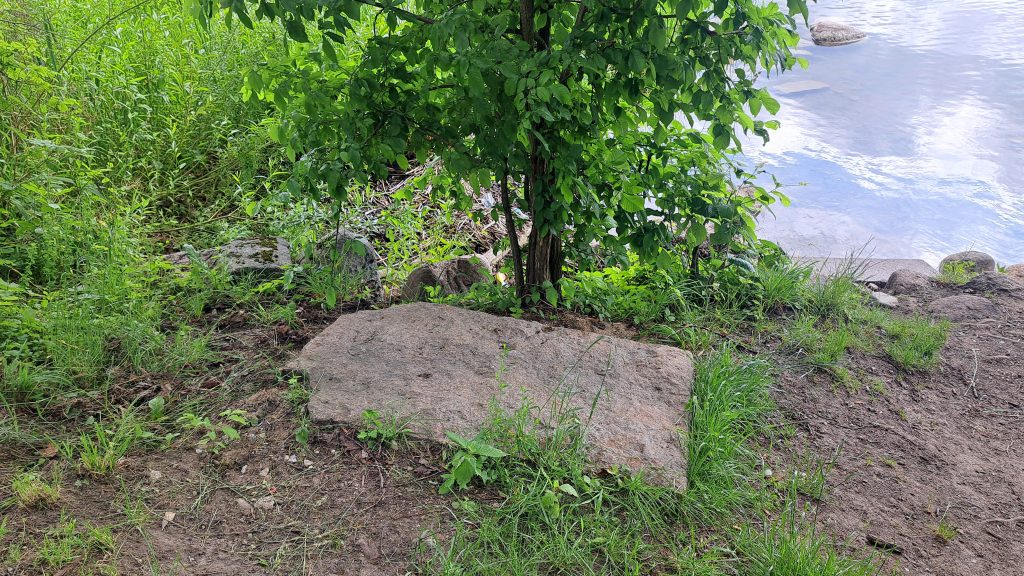 20250617 093110 crop