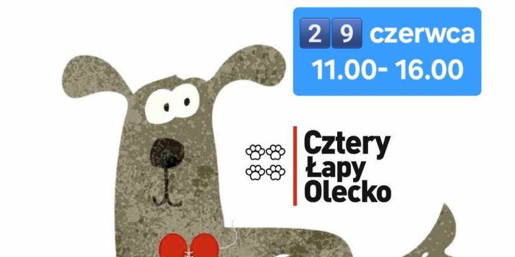 495339464 998147469127965 8356670785676765371 n