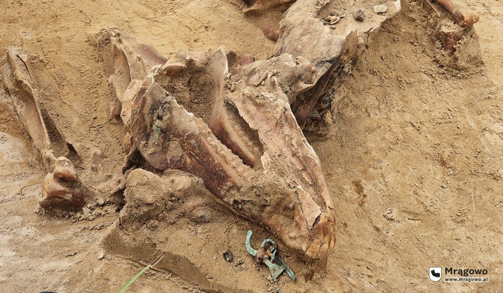 20250723 120502 crop