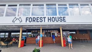 25 07 forest house 40