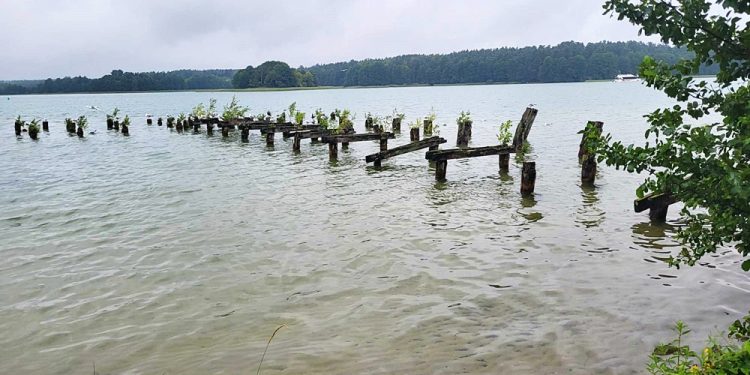 25 07 konf Augustow fot Radio 5 13