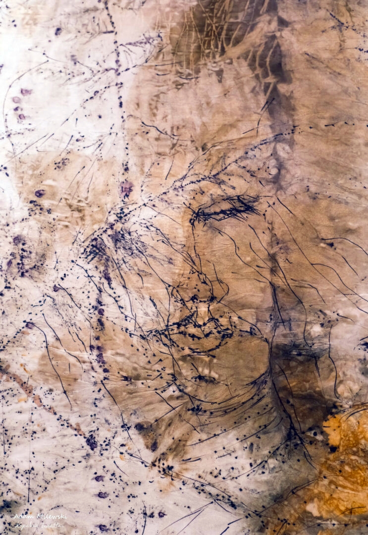 334932470 596584852348708 8839854434167379170 n 1