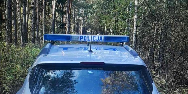 Zdjęcie jest tylko ilustracją do tekstu/Fot. KPP Ełk