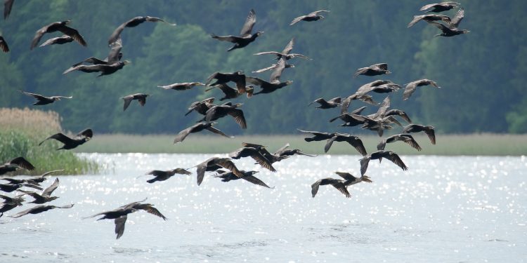 515097074 1171124388391520 6334014461759709983 n