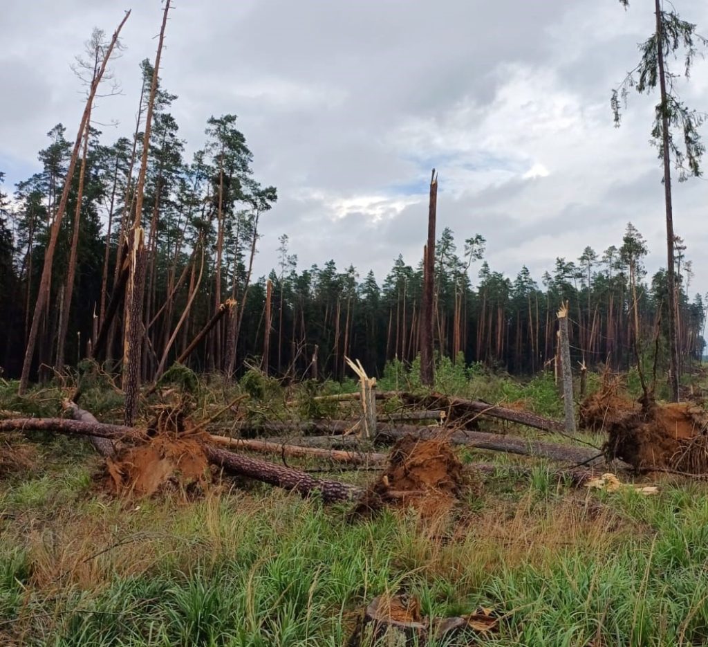 521173012 1070998071879852 7516868712988744633 n crop