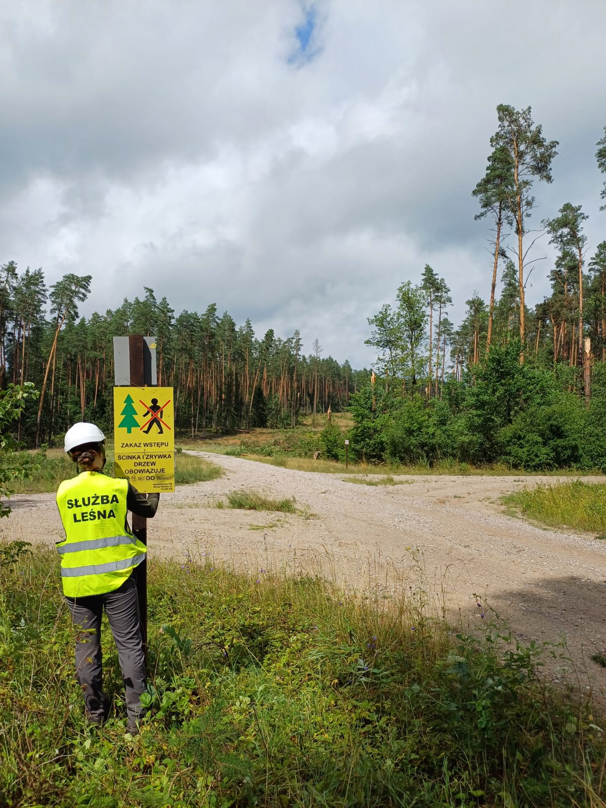 Trąba powietrzna wyrządziła szkody w dwóch leśnictwach 2 521247634 1070998095213183 4247334497096243565 n