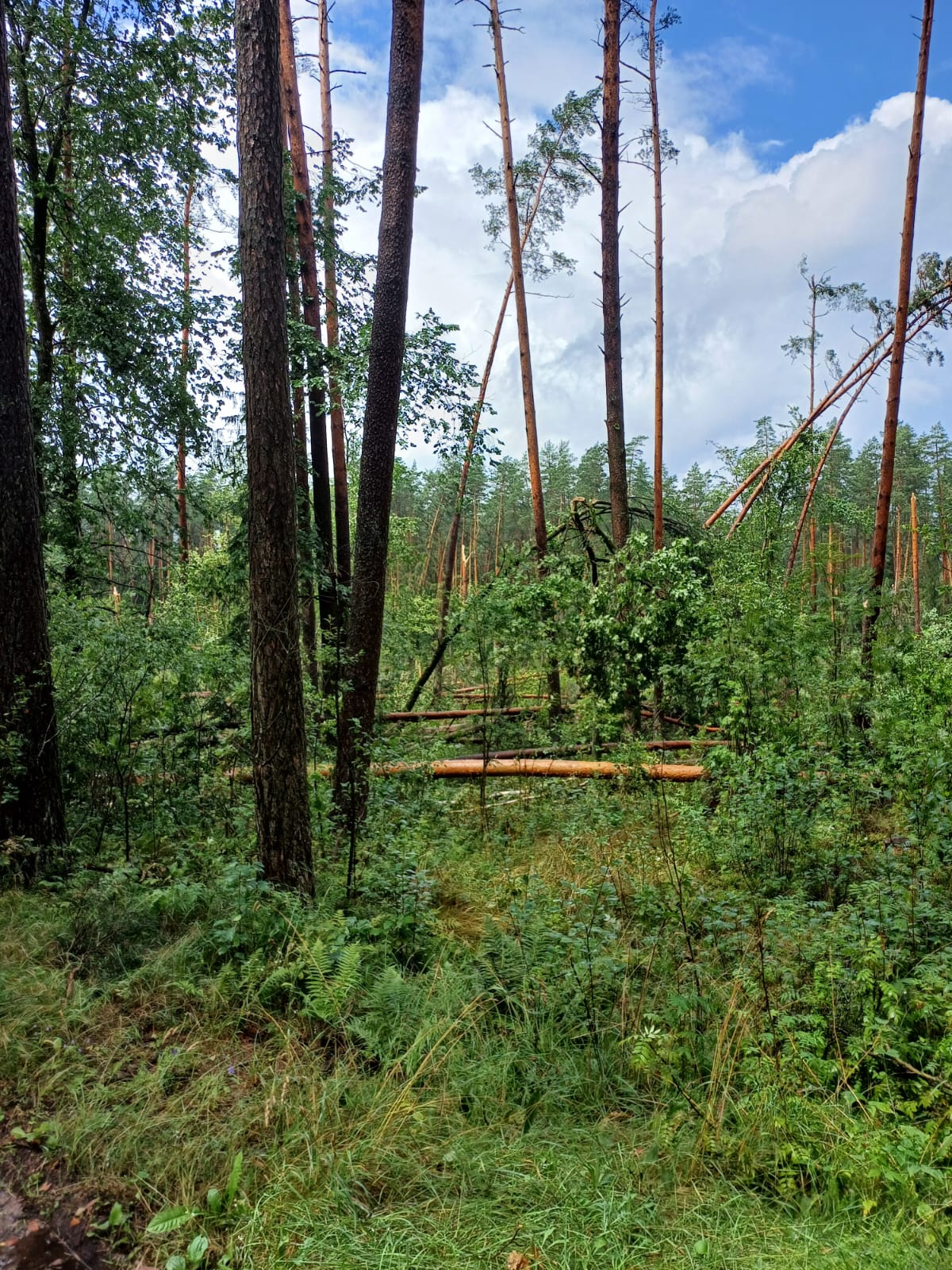 521553752 1070998125213180 7794969857897444777 n