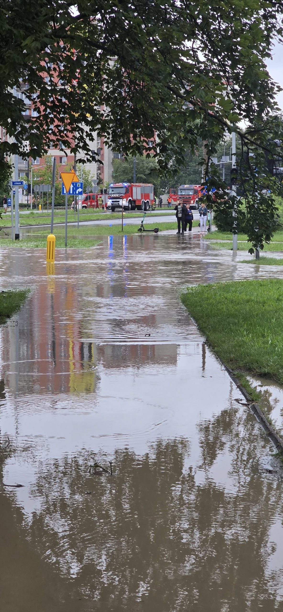 526018840 735687642556333 3733753706216269946 n scaled