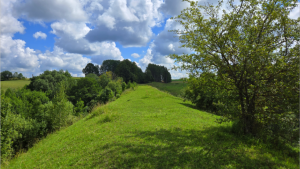 Szlakami Suwalszczyzny - Kiepojcie 10 Image10 3