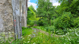 Szlakami Suwalszczyzny - Kiepojcie 7 Image11 3