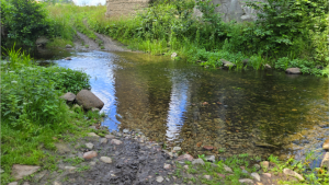 Szlakami Suwalszczyzny - Kiepojcie 14 Image15 3