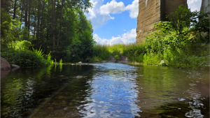 Szlakami Suwalszczyzny - Kiepojcie 15 Image16 3