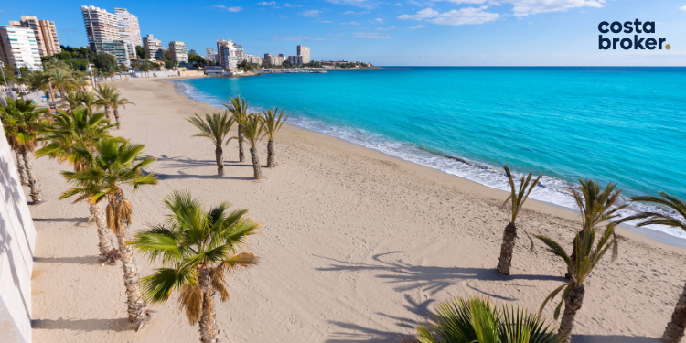 Inwestowanie w nieruchomości w Hiszpanii: Kompletny przewodnik 1 plaża z palmami