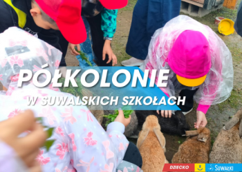 276bc7cdaeda16b4a22e62e49693dd08