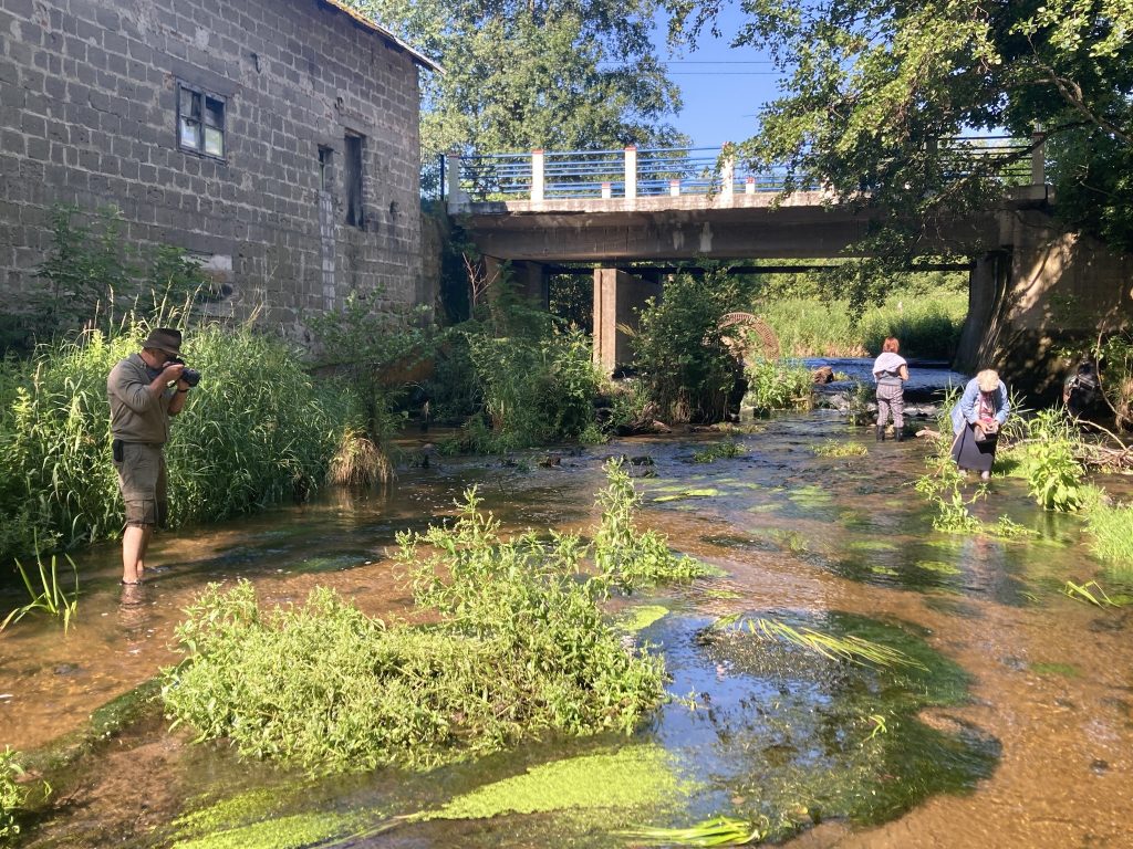 518399835 1182513347252624 4617053225282004619 n