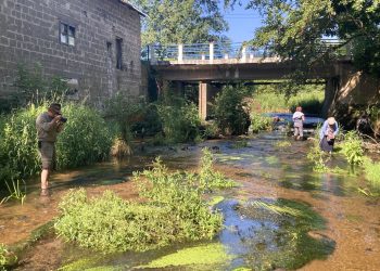 518399835 1182513347252624 4617053225282004619 n