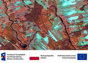 536274989 1213701307467161 6514035908935266270 n