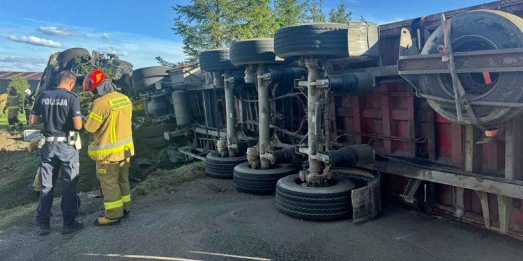 537194702 1523390821988363 4886589881742991278 n