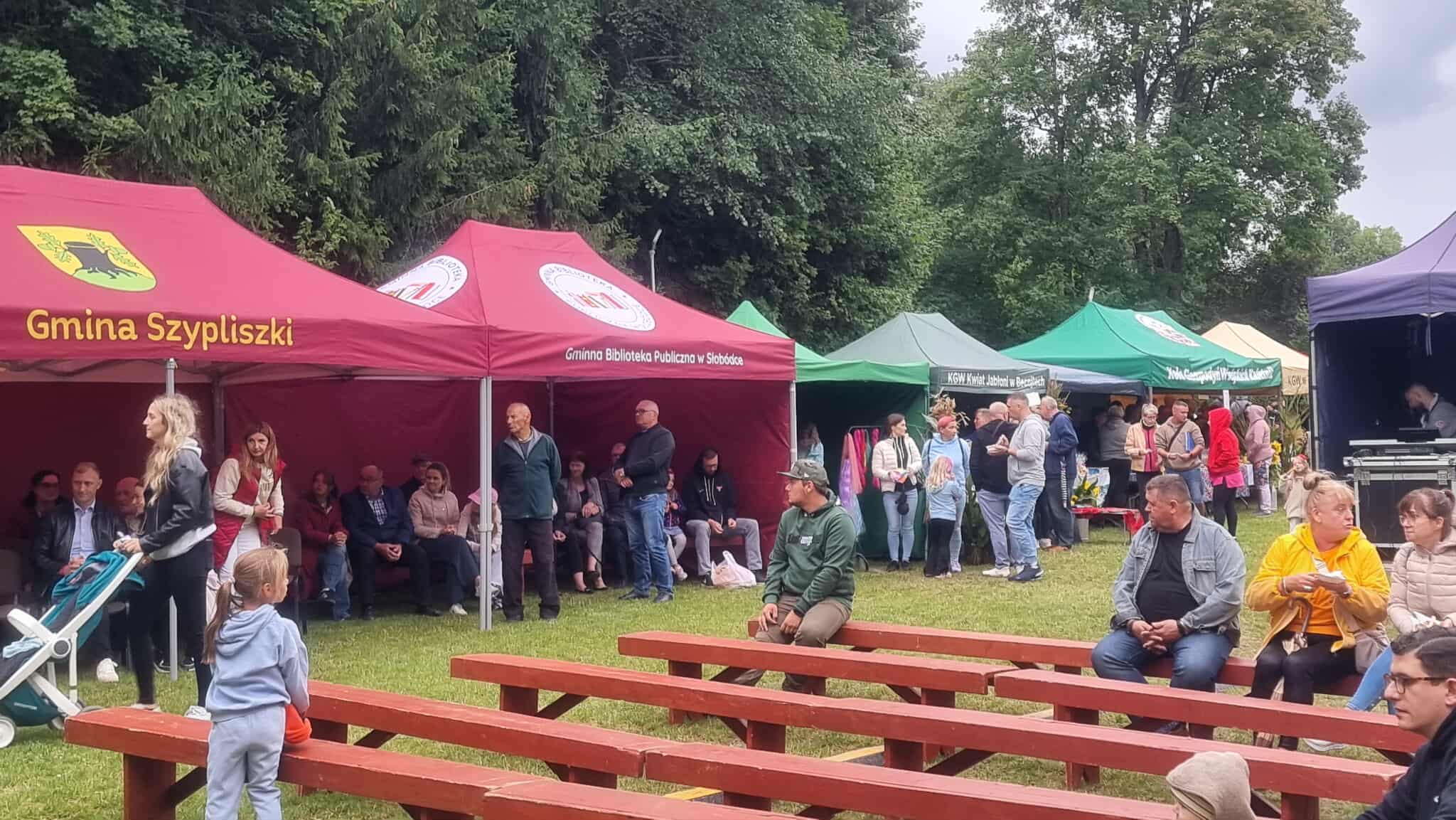 Pożegnanie lata w Becejłach 2 538299703 2480122192368924 185028211050066136 n