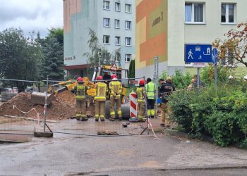 56e800ef ea4a 4fcd 9d7e 3a7285af4393