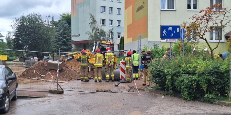 56e800ef ea4a 4fcd 9d7e 3a7285af4393