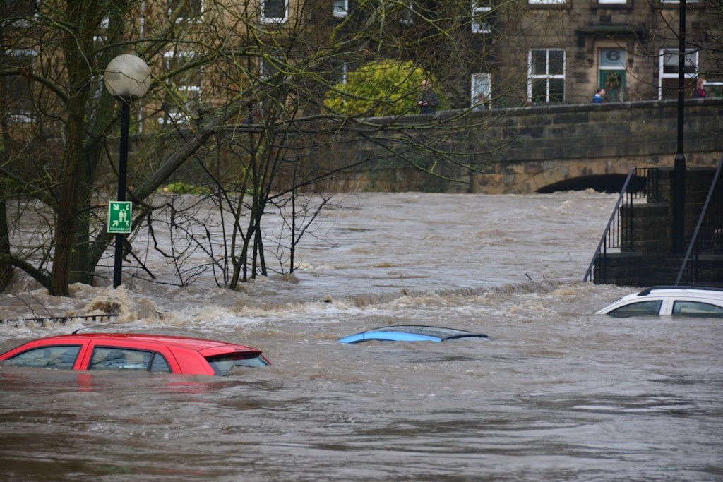 flood cars